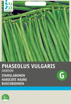 New Buschbohne (Phaseolus vulgaris 'Sonate') Samen Gemüsesamen|Saatgut