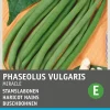 New Buschbohne (Phaseolus vulgaris 'Miracle') Samen Gemüsesamen|Saatgut
