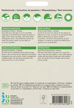 New Buschbohne (Phaseolus vulgaris 'Miracle') Samen Gemüsesamen|Saatgut