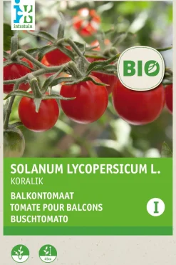 Discount Buschtomate (Solanum lycopersicum 'Koralik') (BIO) Samen Gemüsesamen|Saatgut