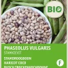 Hot Busch-Trockenbohne (Phaseolus vulgaris 'Stammkievit') (BIO) Samen Gemüsesamen|Saatgut