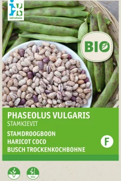 Hot Busch-Trockenbohne (Phaseolus vulgaris 'Stammkievit') (BIO) Samen Gemüsesamen|Saatgut