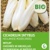Clearance Chicorée (Cichorium intybus) (BIO) Samen Gemüsesamen|Saatgut