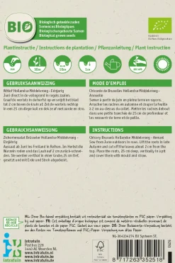 Clearance Chicorée (Cichorium intybus) (BIO) Samen Gemüsesamen|Saatgut