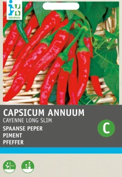 Outlet Chili Cayenne (Capsicum Annuum 'De Cayenne') Samen Gemüsesamen|Saatgut