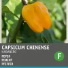 Clearance Chili Habanero (Capsicum annuum 'Habanero Oranje') Samen Gemüsesamen|Saatgut