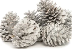 Hot Deko-Tannenzapfen groß weiß 200 g Weihnachts- & Adventsdeko