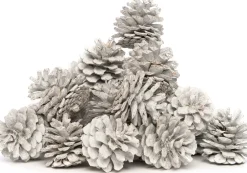 Clearance Deko-Tannenzapfen weiß 200 g Weihnachts- & Adventsdeko