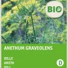 Sale Dill (Anethum graveolens) (BIO) Samen Kräutersamen|Saatgut