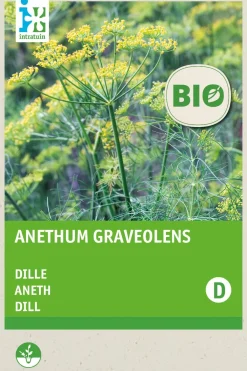 Sale Dill (Anethum graveolens) (BIO) Samen Kräutersamen|Saatgut