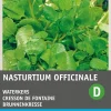 Hot Echte Brunnenkresse (Nasturtium officinale) Kressesamen Gemüsesamen|Saatgut