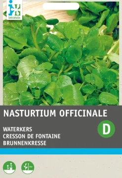 Hot Echte Brunnenkresse (Nasturtium officinale) Kressesamen Gemüsesamen|Saatgut