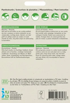 Hot Echte Brunnenkresse (Nasturtium officinale) Kressesamen Gemüsesamen|Saatgut