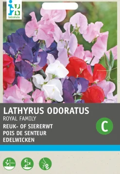 Best Edelwicke (Lathyrus odoratus 'Royal family') Blumensamen-Mischung Saatgut|Blühende Pflanzen