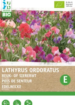 Sale Edelwicke (Lathyrus odoratus 'Old Spice') (BIO) Blumensamen Saatgut|Blühende Pflanzen