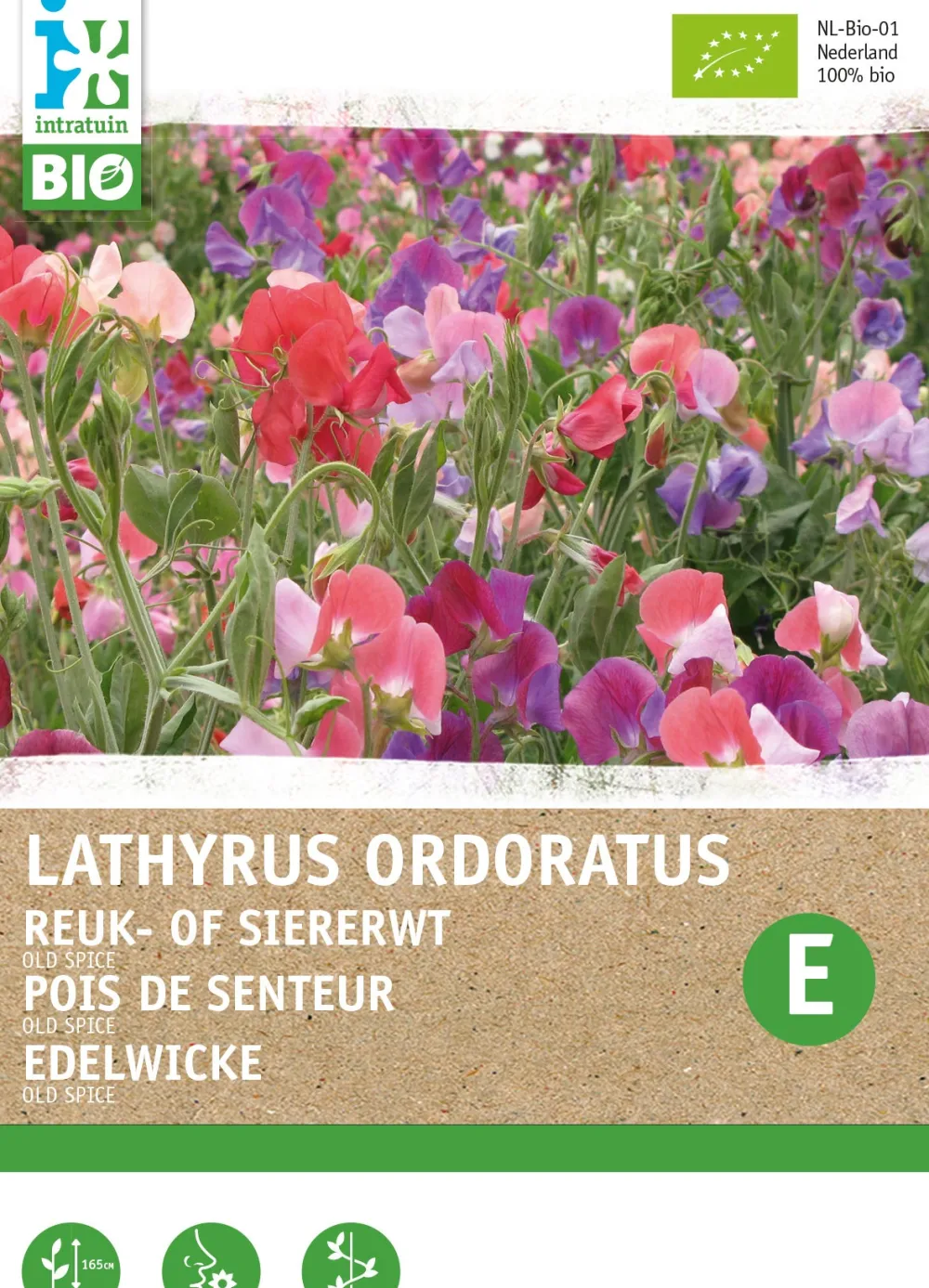 Sale Edelwicke (Lathyrus odoratus 'Old Spice') (BIO) Blumensamen Saatgut|Blühende Pflanzen