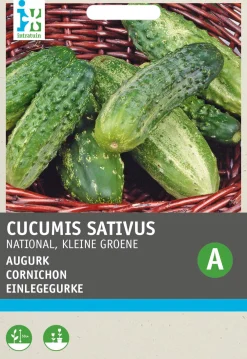 Hot Einlegegurke (Cucumis sativus 'National') Samen Gemüsesamen|Saatgut