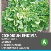 Hot Endivie (Cichorium endivia 'Bubikopf 2') Samen Gemüsesamen|Saatgut