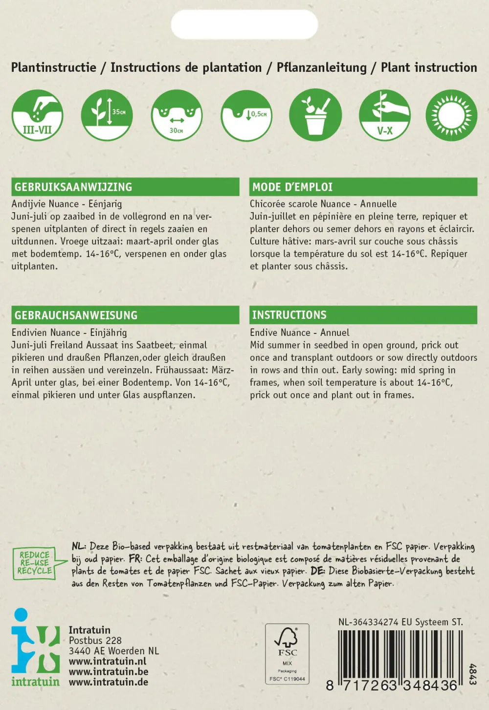 Discount Endivie (Cichorium endivia 'Nuance') Samen Gemüsesamen|Saatgut