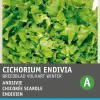 Outlet Endivie (Cichorium endivia 'Escariol Grüner') Samen Gemüsesamen|Saatgut