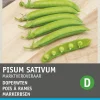 New Erbse (Pisum sativum 'Marktveroveraar') Samen Gemüsesamen|Saatgut