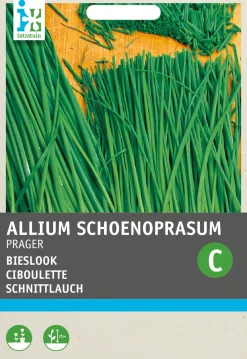 Outlet Feiner Schnittlauch (Allium schoenoprasum 'Prager') Samen Kräutersamen|Saatgut