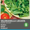 Outlet Feldsalat (Valerianella olitoiria 'Vollherzig') Samen Gemüsesamen|Saatgut