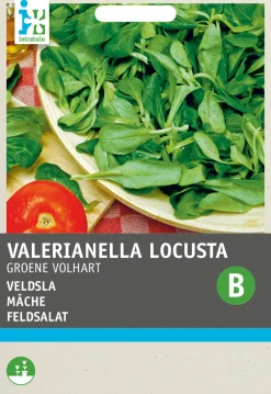 Outlet Feldsalat (Valerianella olitoiria 'Vollherzig') Samen Gemüsesamen|Saatgut