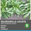 Discount Feldsalat (Vallerianella locusta) Samen Gemüsesamen|Saatgut