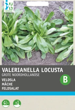 Discount Feldsalat (Vallerianella locusta) Samen Gemüsesamen|Saatgut