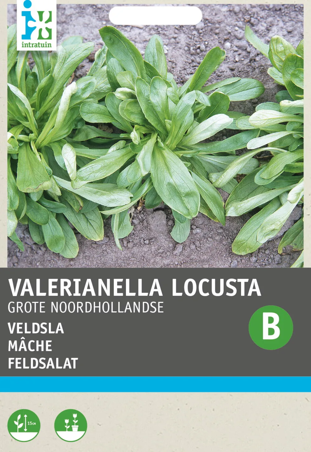 Discount Feldsalat (Vallerianella locusta) Samen Gemüsesamen|Saatgut
