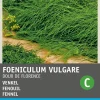 Hot Fenchel (Foeniculum vulgare 'Doux de Florence') Samen Gemüsesamen|Saatgut