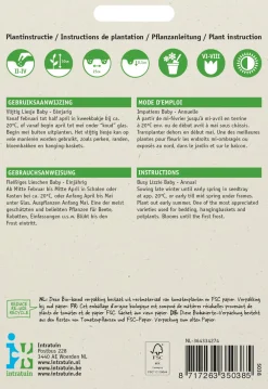 Best Fleißiges Lieschen (Impatiens walleriana 'Nana Baby') Blumensamen-Mischung Saatgut|Blühende Pflanzen