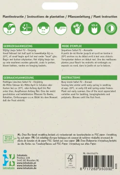 Sale Fleißiges Lieschen (Impatiens walleriana 'Safari') Blumensamen Saatgut|Blühende Pflanzen