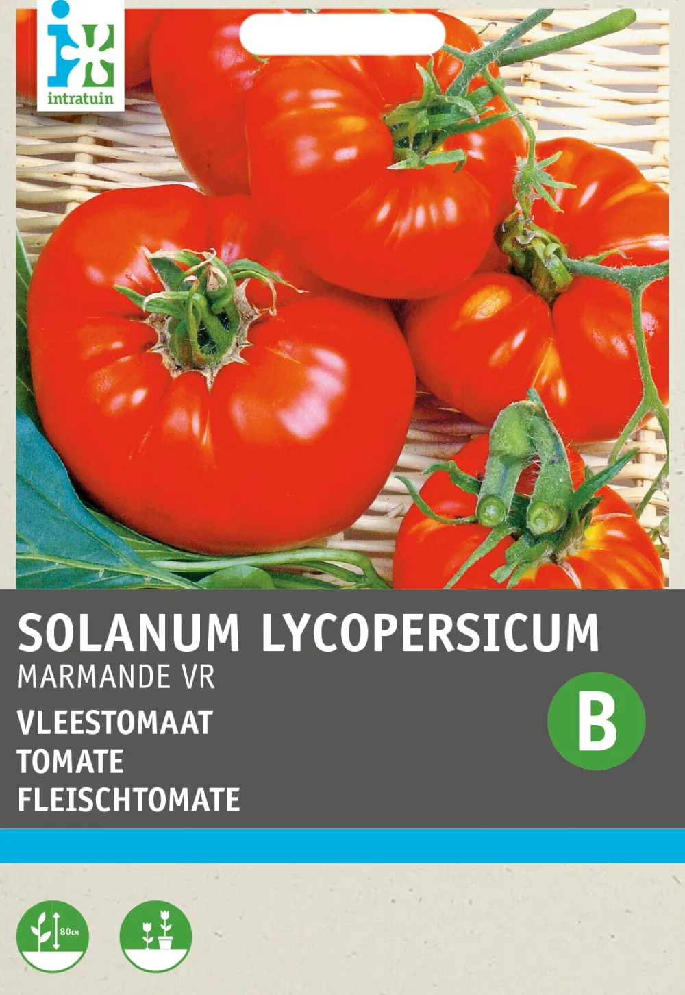 Discount Fleischtomate (Solanum lycopersicum 'Marmande') Samen Gemüsesamen|Saatgut