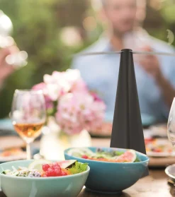 Online Fliegenwedler schwarz 8 x 8 x 25,5 cm Schädlingsbekämpfung