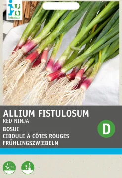 Sale Frühlingszwiebeln rot (Allium fistulosum 'Red Ninja') Samen Gemüsesamen|Saatgut