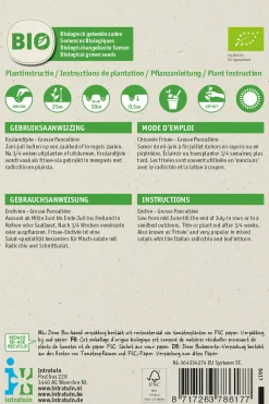 Frisee-Endivie (Cichorium endivia 'Grosse Pancaliere') (BIO) Samen Gemüsesamen|Saatgut
