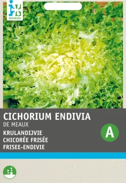 Sale Frisee-Endivie (Cichorium endivia 'De Meaux') Samen Gemüsesamen|Saatgut
