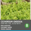 Outlet Frisee-Endivie (Cichorium endivia 'Altijd Witte') Samen Gemüsesamen|Saatgut