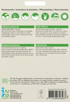 Outlet Frisee-Endivie (Cichorium endivia 'Altijd Witte') Samen Gemüsesamen|Saatgut