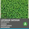 New Gartenkresse groß- / breitblättrig (Lepidium sativum) Kressesamen Gemüsesamen|Saatgut