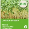 Gartenkresse (Lepidium sativum) (BIO) Kressesamen Gemüsesamen|Saatgut