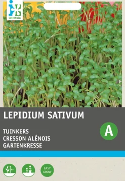 Sale Gartenkresse (Lepidium sativum) Kressesamen Gemüsesamen|Saatgut
