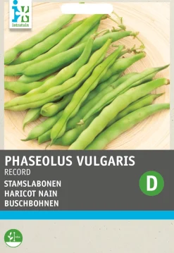 New Gemüsesamen Buschbohnen (Phaseolus vulgaris 'Record') Gemüsesamen|Saatgut