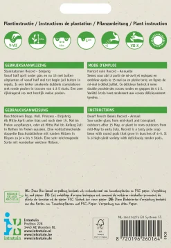 New Gemüsesamen Buschbohnen (Phaseolus vulgaris 'Record') Gemüsesamen|Saatgut