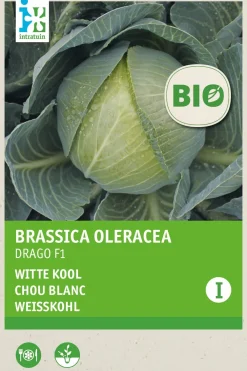 Best Gemüsesamen Weißkohl (Brassica oleracea 'Drago F1') (BIO) Samen Gemüsesamen|Saatgut