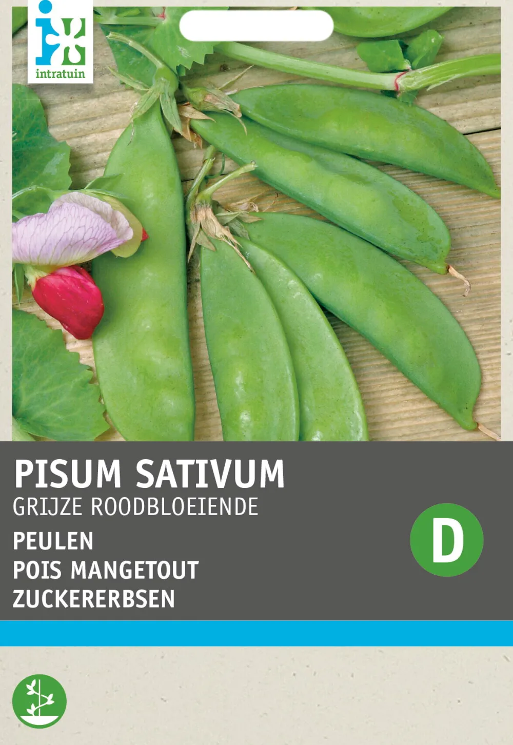Clearance Gemüsesamen Zuckererbsen (Pisum sativum 'Grijze Roodbloeiende') Gemüsesamen|Saatgut