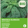 Sale Grünkohl (Brassica oleracea 'Westlandse Winter') (BIO) Samen Gemüsesamen|Saatgut