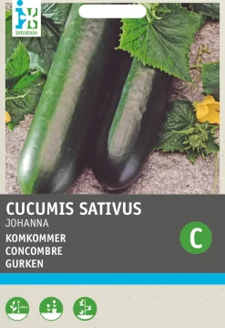 Clearance Gurke (Cucumis sativus 'Johanna') Samen Gemüsesamen|Saatgut